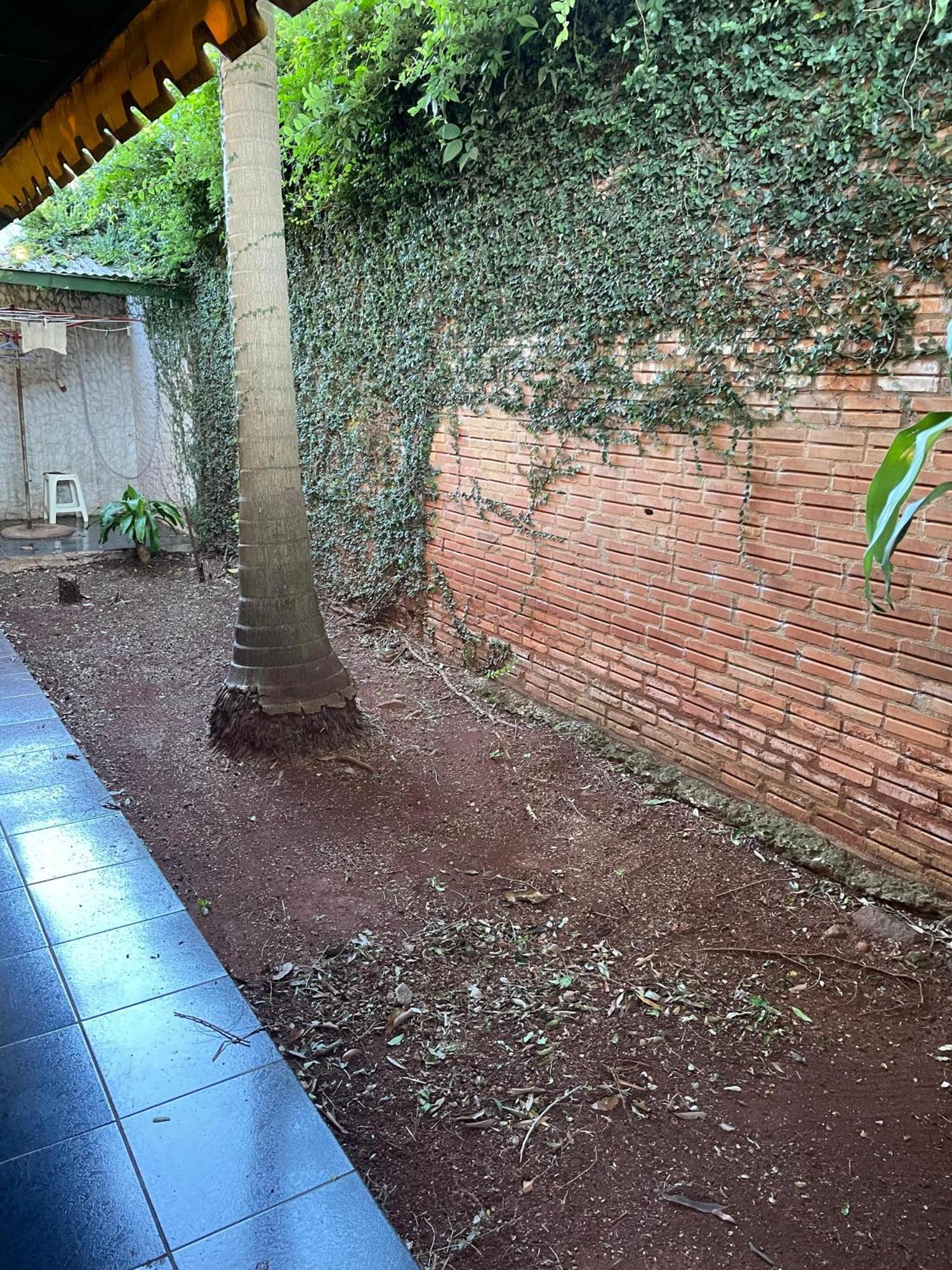 ¡Tucanes Iguazu! Porto Iguaçu Exterior foto